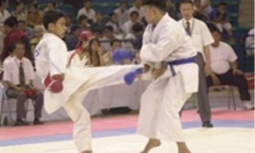 219 vận động viên dự Giải Karatedo toàn quốc 2009